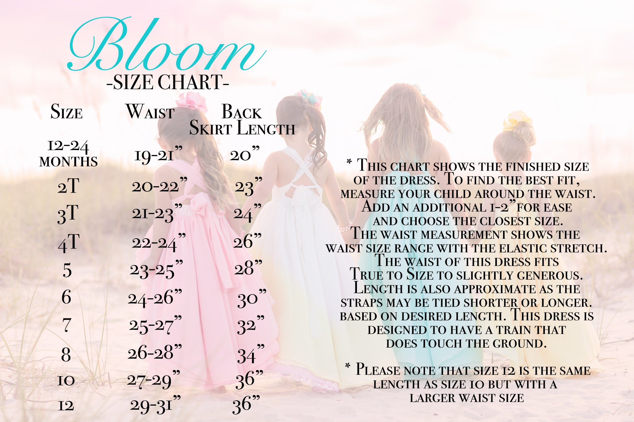 Bloom Chiffon Dresses